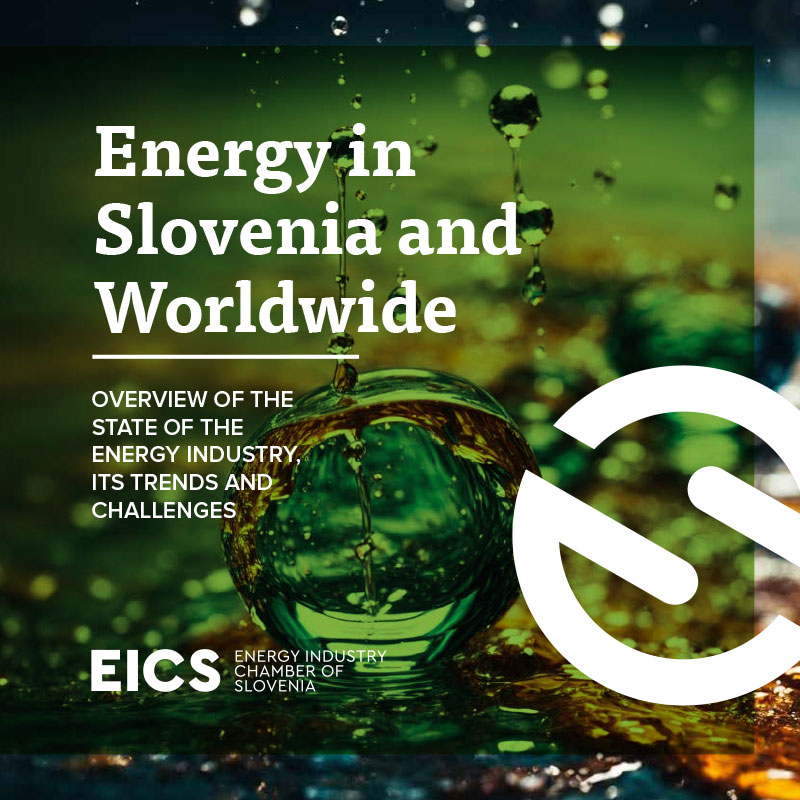 Energy-in-Slovenia-and-Worldwide-2025-1