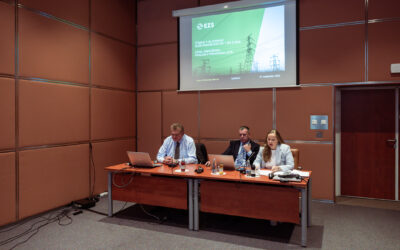Aktualne zadeve na področju elektroenergetike in  kaj lahko gospodinjstva pričakujejo glede cen elektrike