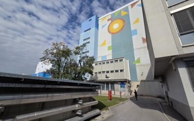 UO EZS v Ljubljani: O kadrih do leta 2030 ter naprednih energetskih rešitvah za prestolnico